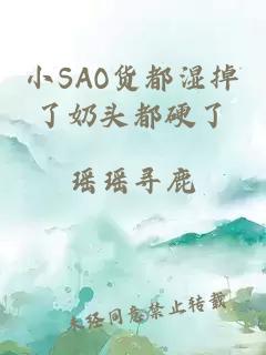 小SAO货都湿掉了奶头都硬了