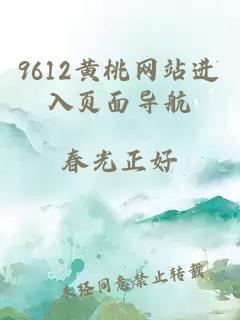 9612黄桃网站进入页面导航