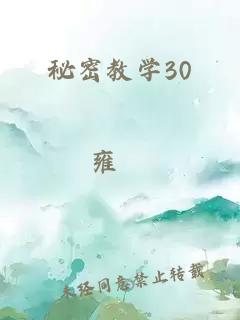 秘密教学30