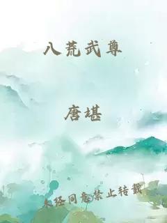 八荒武尊