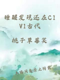 睡醒发现还在C1V1古代