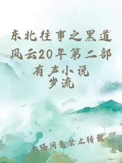 东北往事之黑道风云20年第二部有声小说