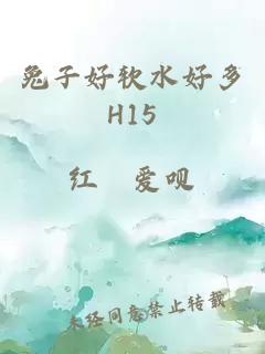 兔子好软水好多H15