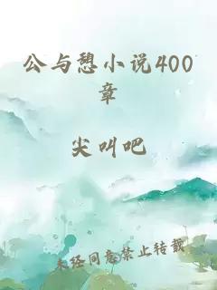 公与憩小说400章