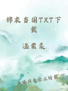 锦衣当国TXT下载