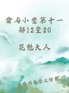 翁与小莹第十一部12至20