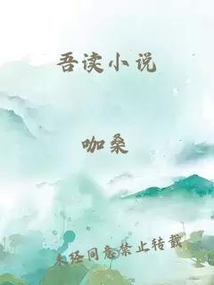 吾读小说