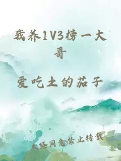 我养1V3榜一大哥