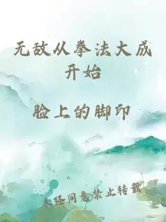 无敌从拳法大成开始