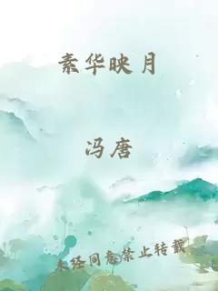 素华映月