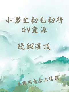 小男生初毛初精GV资源