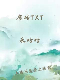 唐砖TXT