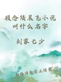 顾念陆晨飞小说叫什么名字