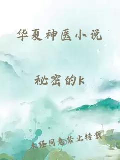 华夏神医小说