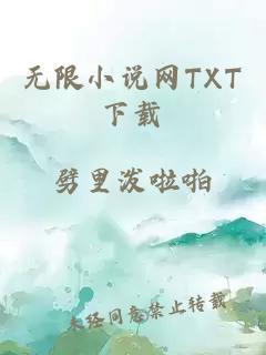 无限小说网TXT下载