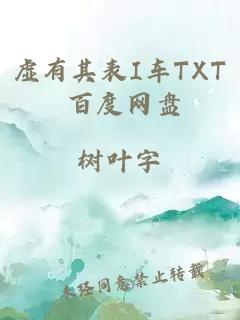 虚有其表I车TXT 百度网盘