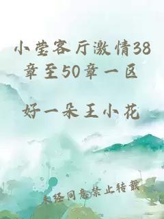 小莹客厅激情38章至50章一区