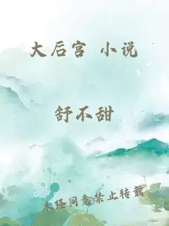 大后宫 小说