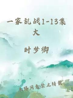 一家乱战1-13集大