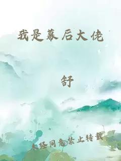 我是幕后大佬