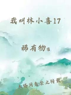 我叫林小喜17