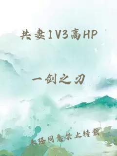 共妻1V3高HP