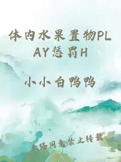 体内水果置物PLAY惩罚H