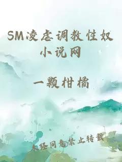 SM凌虐调教性奴小说网