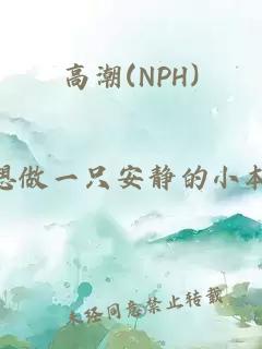 高潮(NPH)