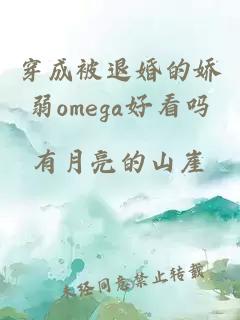 穿成被退婚的娇弱omega好看吗