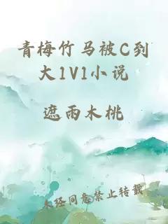 青梅竹马被C到大1V1小说