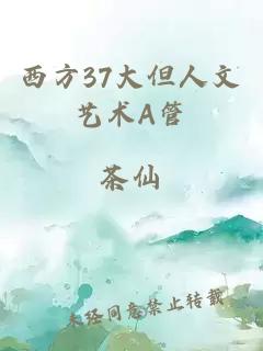 西方37大但人文艺术A管