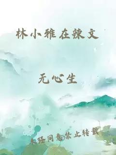 林小雅在辣文