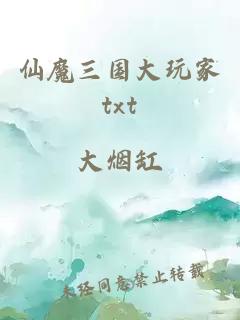 仙魔三国大玩家txt