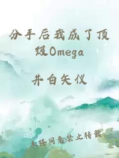 分手后我成了顶级Omega